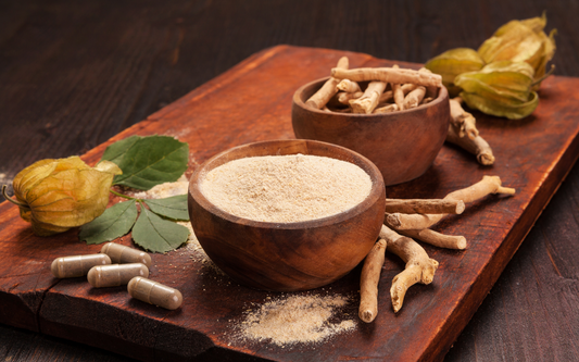 Ashwagandha: A Powerhouse of Wellness and Vitality