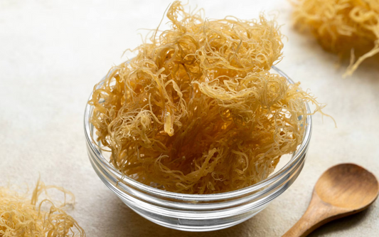 Sea Moss: The Nutrient Powerhouse from the Sea